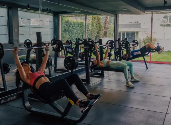 ellipse fitness distribuidor